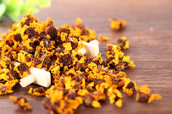 雪菊的功效与作用