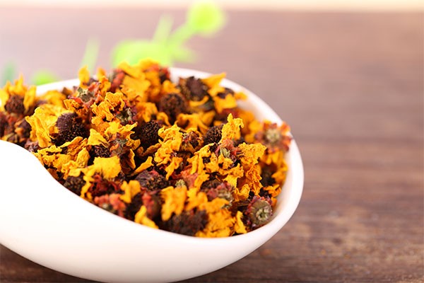 雪菊的功效与作用