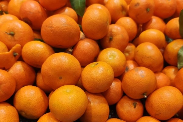 砂糖橘对皮肤有哪些独特的护理效果