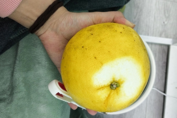 葡萄柚能帮助降低胆固醇水平吗