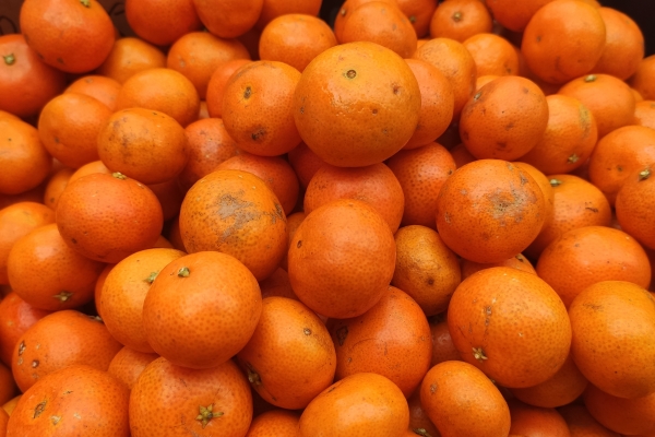 砂糖橘是否有助于抗氧化和抗衰老